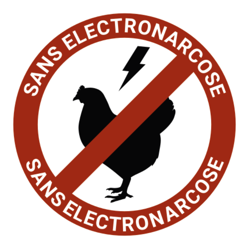 <em>Sans électronarcose</em>