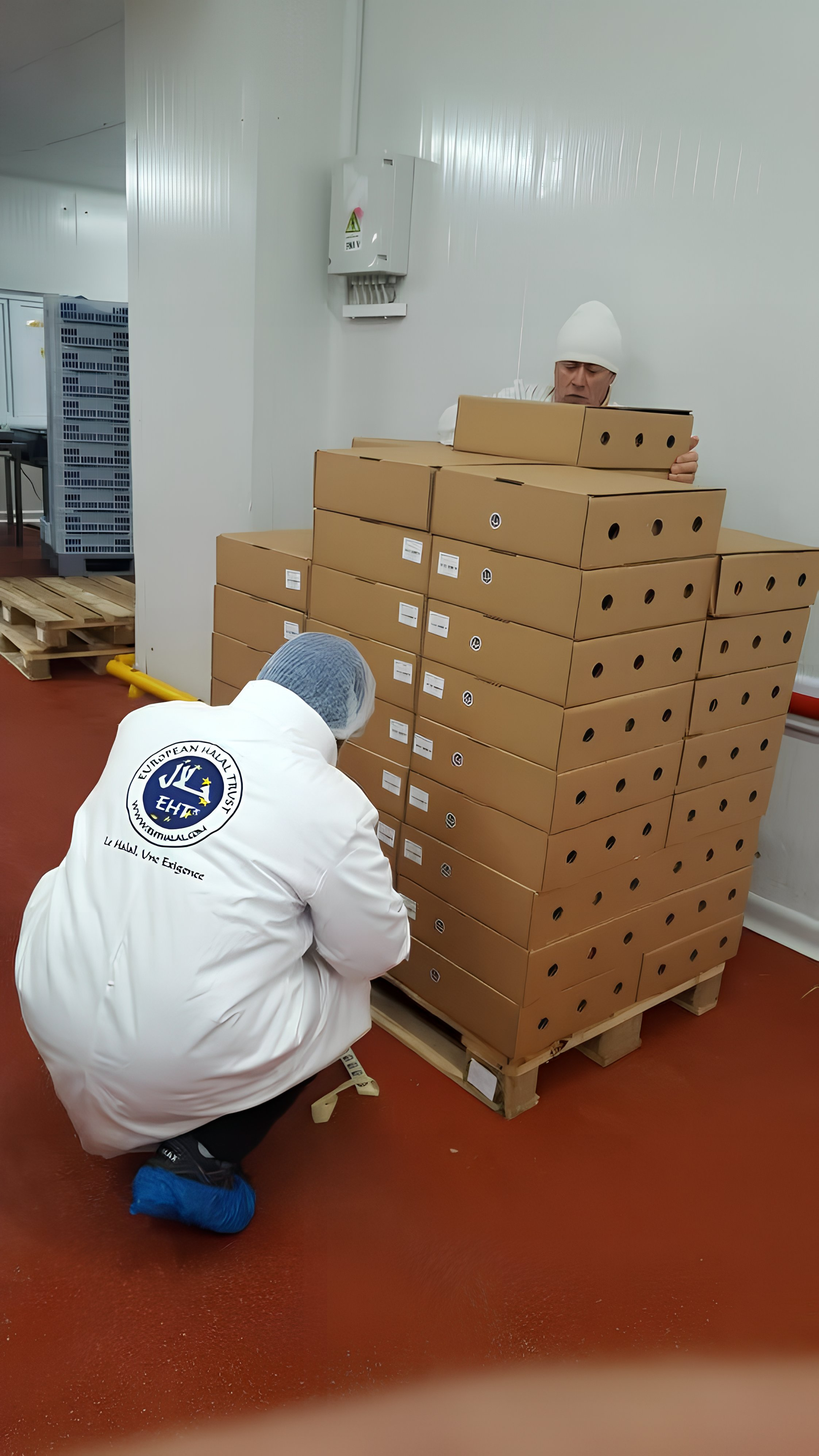 Sans Électronarcose - Méthode traditionnelle